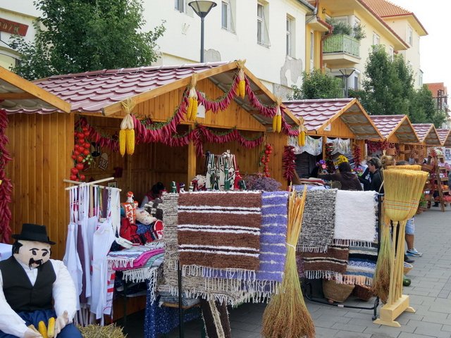 Megyei Közfoglalkoztatási Kiállítás 031